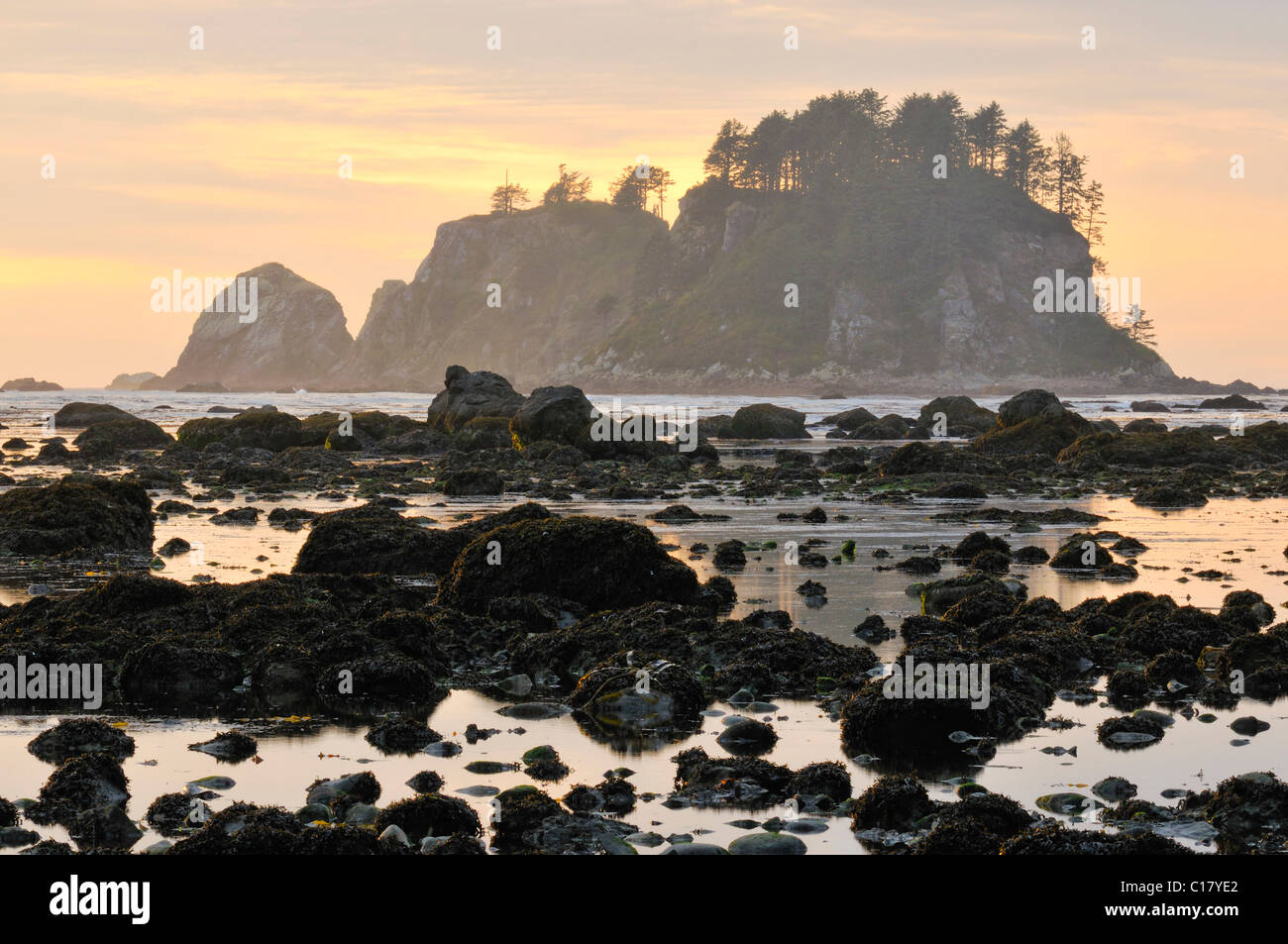 Coucher du soleil au large de la côte au point de sable, Olympic National Park, Washington, USA, Amérique du Nord Banque D'Images