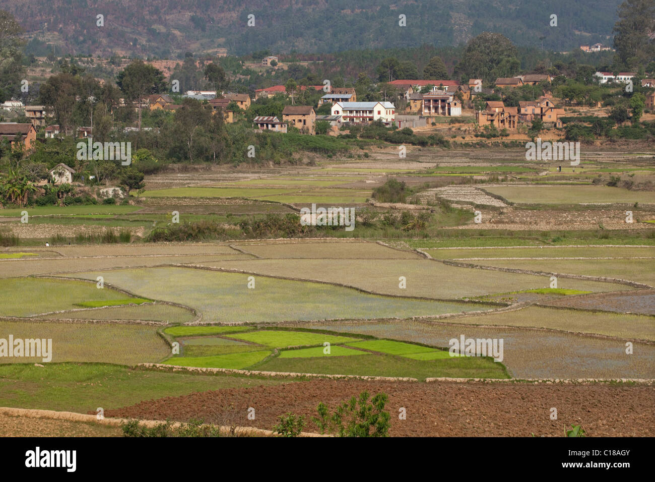 Développement de l'habitation, avec des rizières sur le plancher de vallée. Le centre sud de Madagascar. Banque D'Images