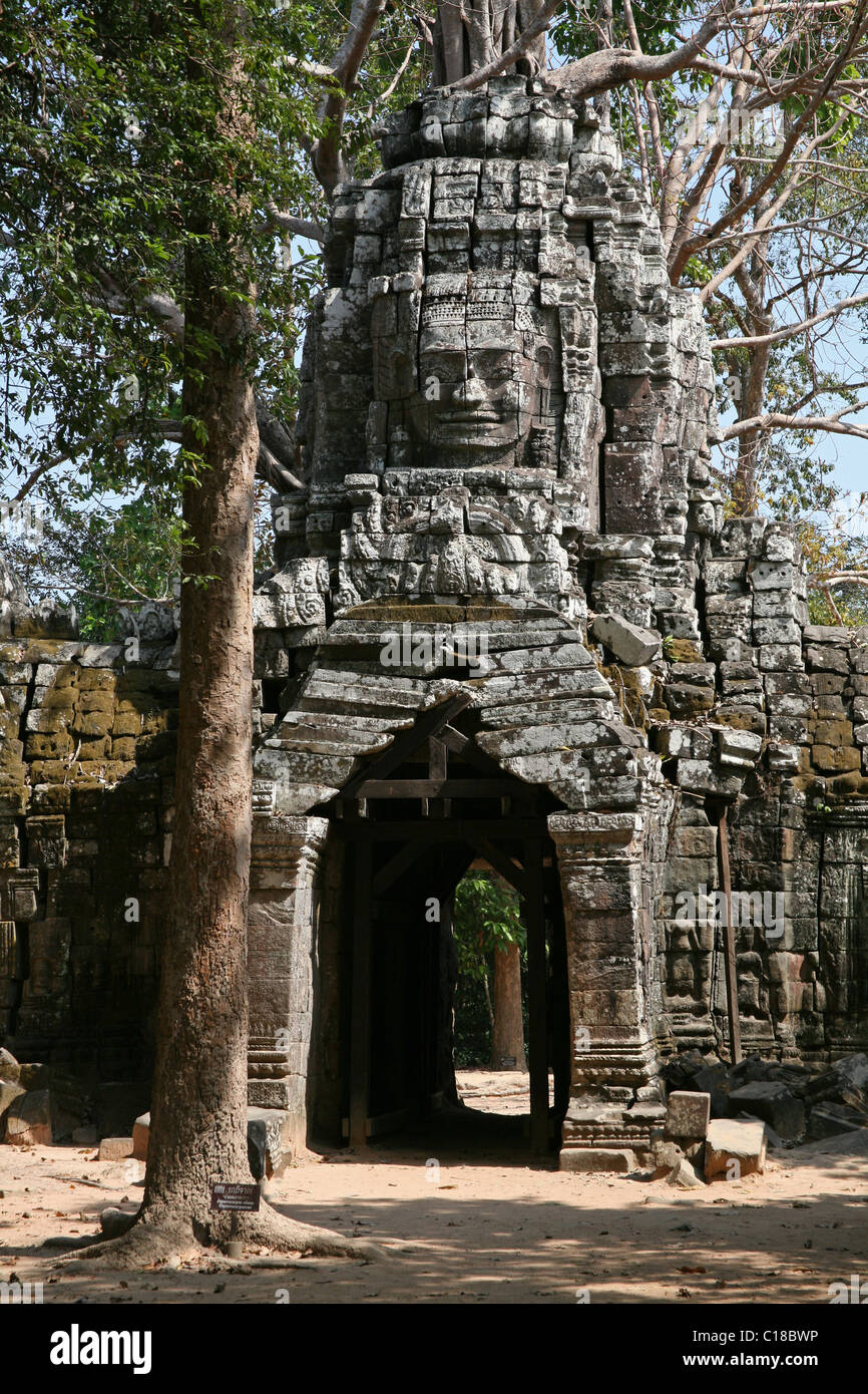 Ta Som temple à Angkor, Cambodge Banque D'Images