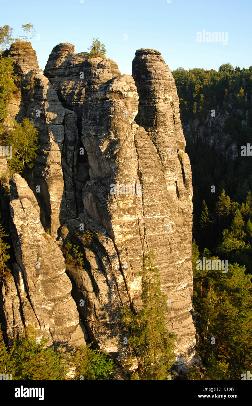 La lumière du matin sur le Wehltuermen, Rathen, la Suisse Saxonne, Saxe, Allemagne, Europe Banque D'Images