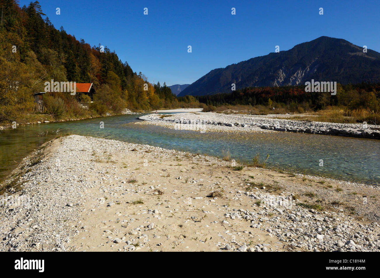 Cours supérieur de la rivière Isar, dans l'automne, Bavaria, Germany, Europe Banque D'Images