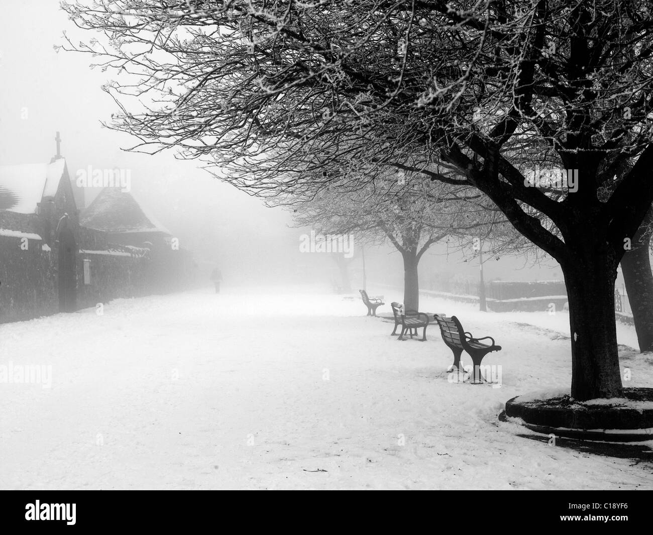 Des bancs et des arbres dans la neige de l'hiver. Banque D'Images