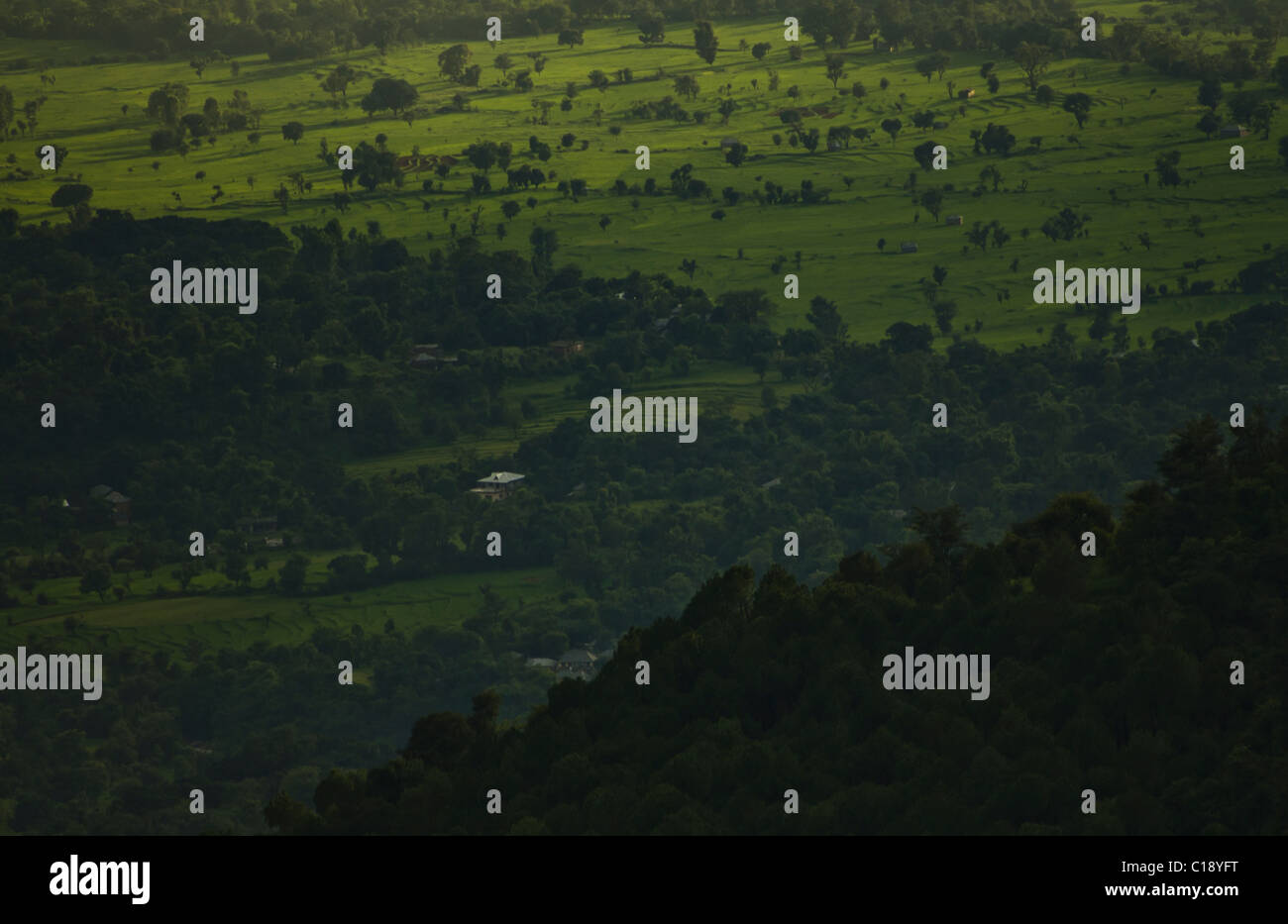 Le paysage de l'Himachal Pradesh, une vue de la terre la forme. Banque D'Images