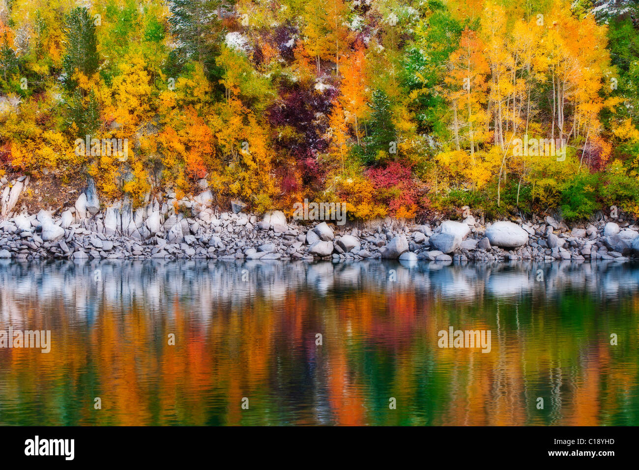 La couleur de l'automne et la neige fraîche au lac Sabrina, Inyo National Forest, la Sierra Nevada, en Californie USA Banque D'Images