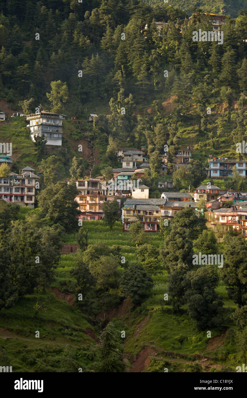 Maisons sur une colline dans la région de Dharamsala Banque D'Images