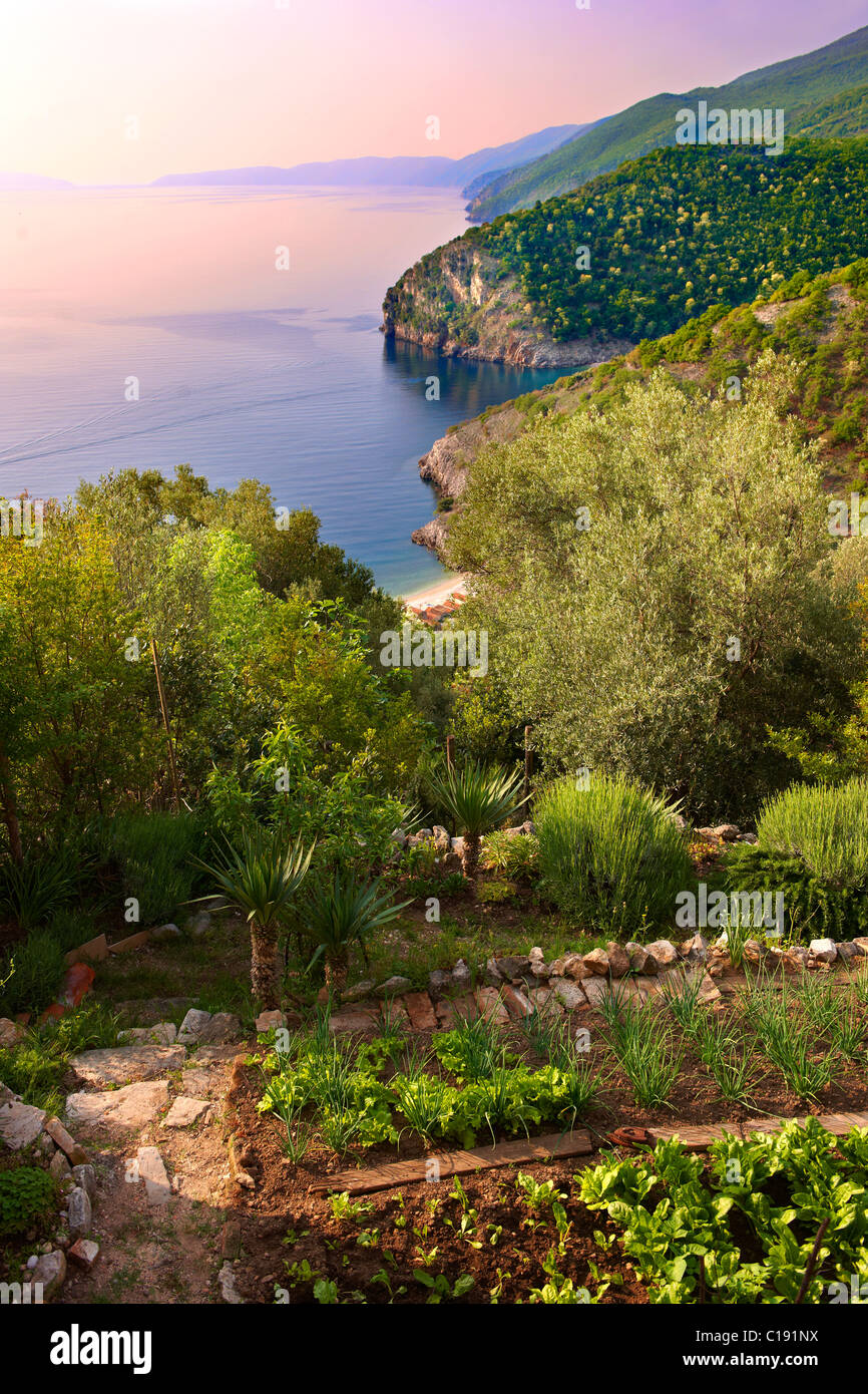 Jardin de Beli hill ville donnant sur le port et les falaises, l'île de Cres, Croatie Banque D'Images