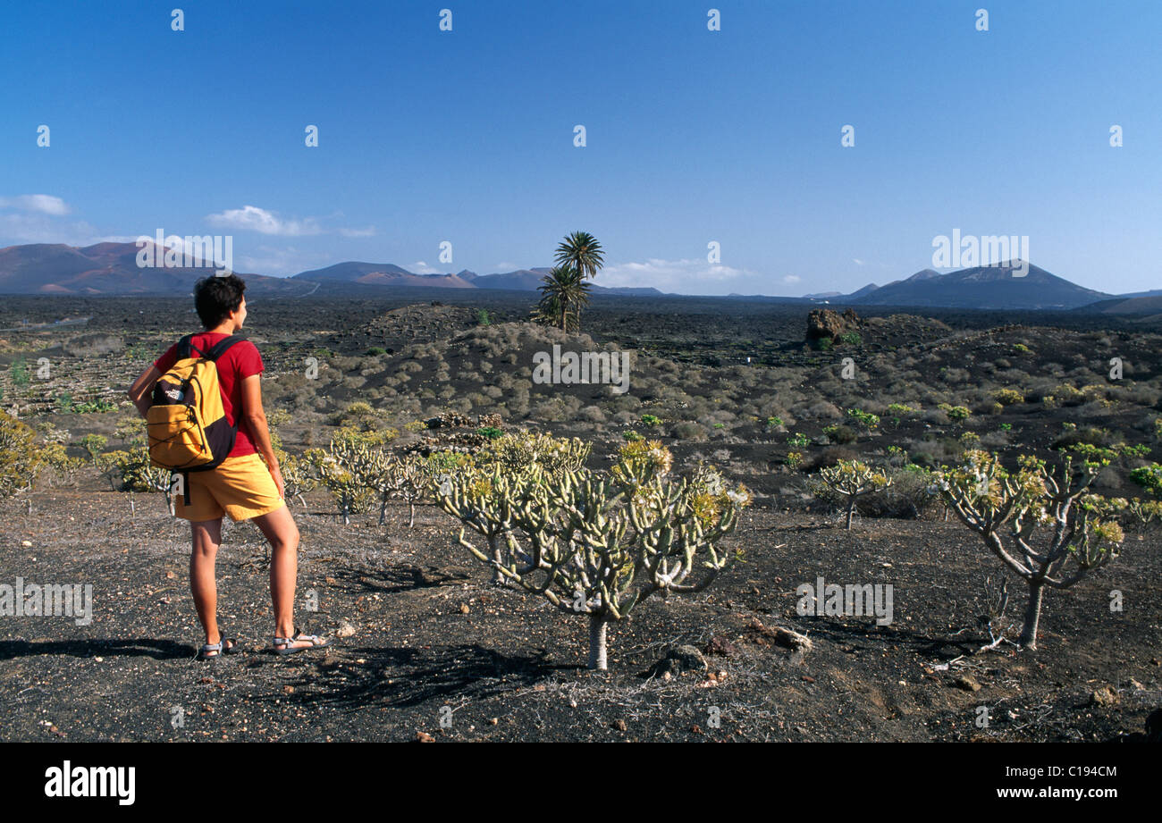Randonnées au milieu des paysages volcaniques par Uga, Lanzarote, Canary Islands, Spain, Europe Banque D'Images