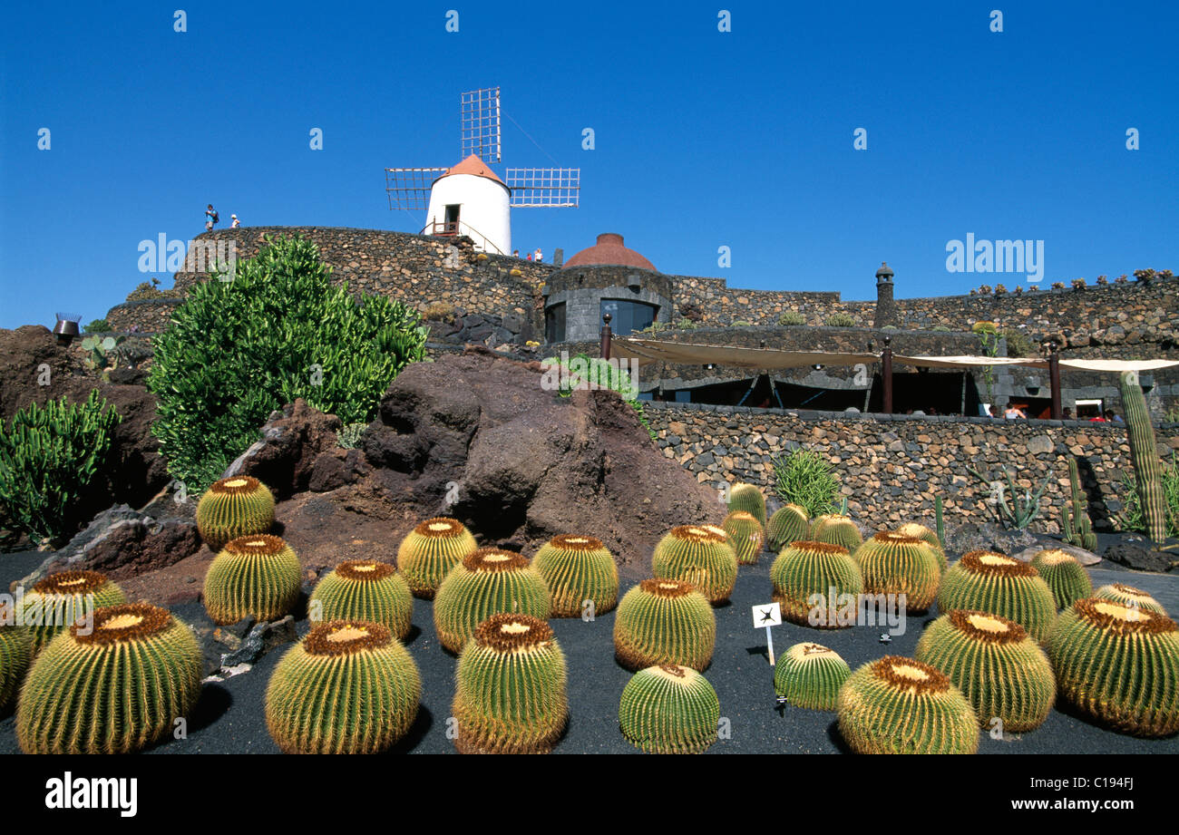 Jardin de Cactus à Guatiza, Lanzarote, Canary Islands, Spain, Europe Banque D'Images