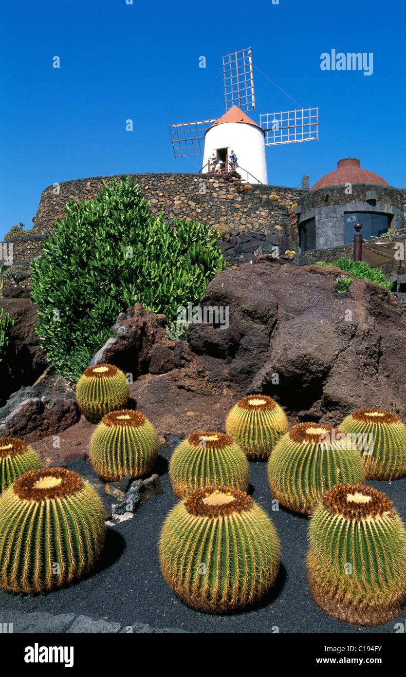 Jardin de Cactus à Guatiza, Lanzarote, Canary Islands, Spain, Europe Banque D'Images
