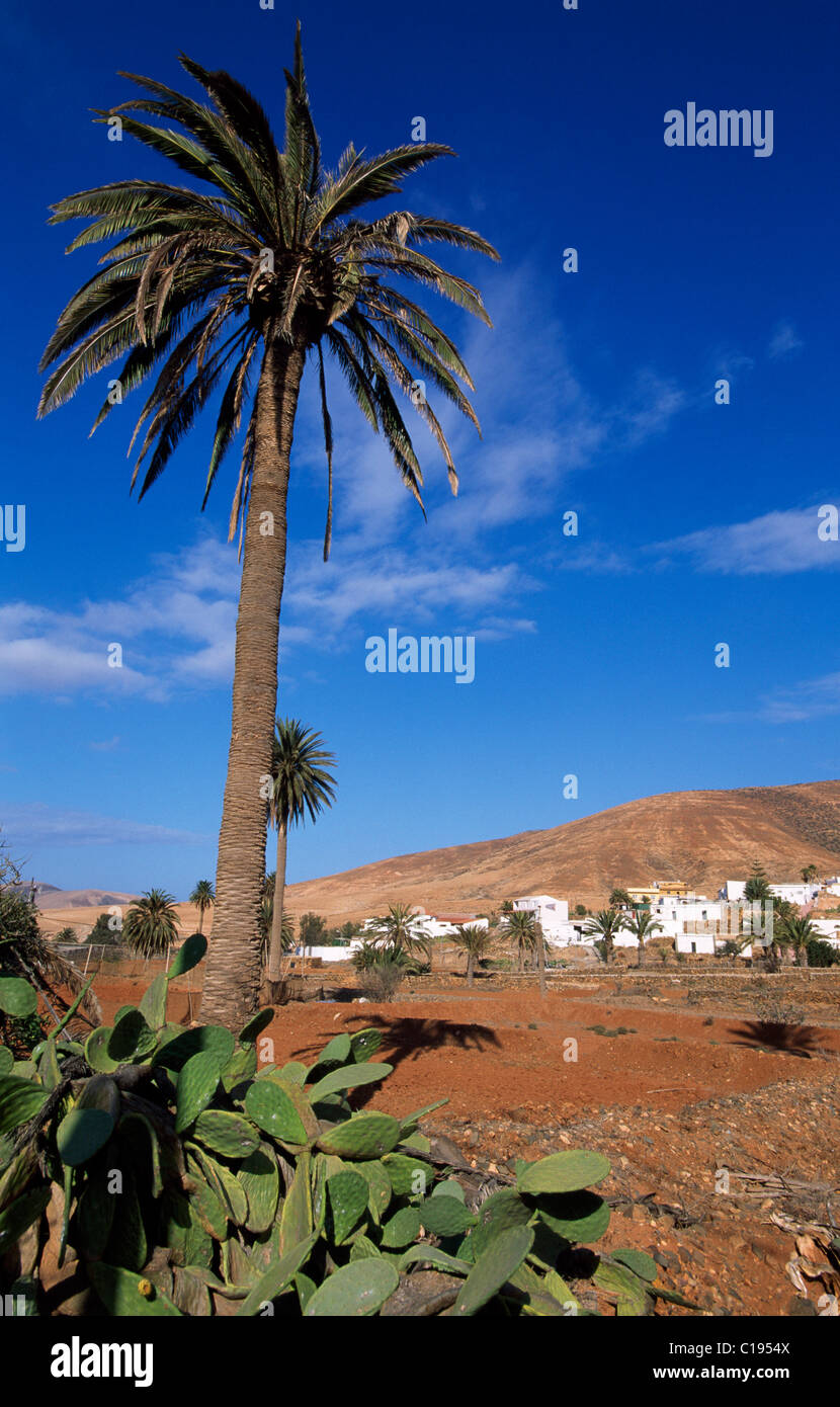 Village de montagne de Toto sur Fuerteventura, Îles Canaries, Espagne, Europe Banque D'Images