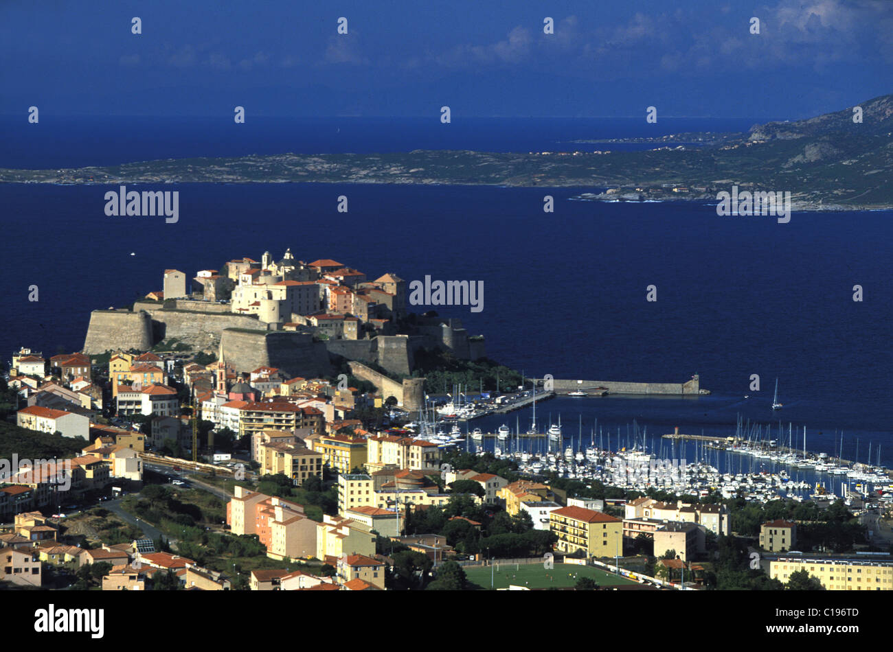 France, Haute Corse, Balagne, Calvi (capitale de la Balagne) et sa citadelle génoise Banque D'Images