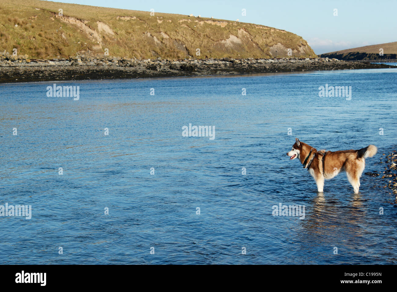 Le grand dehors Banque D'Images