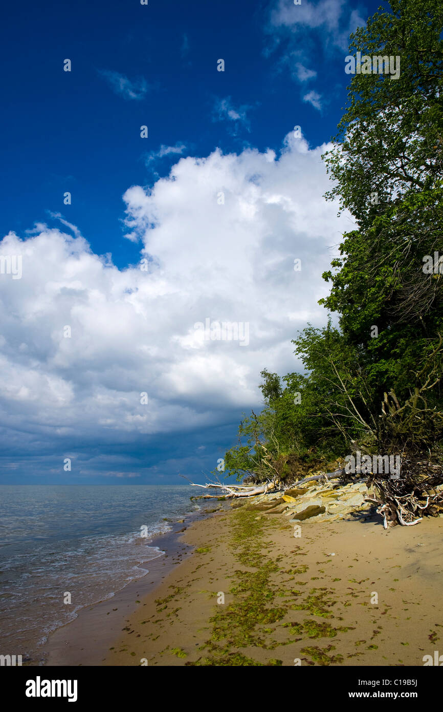 Saka, côte escarpée, plage de la mer Baltique, l'Estonie, pays Baltes, Europe Banque D'Images