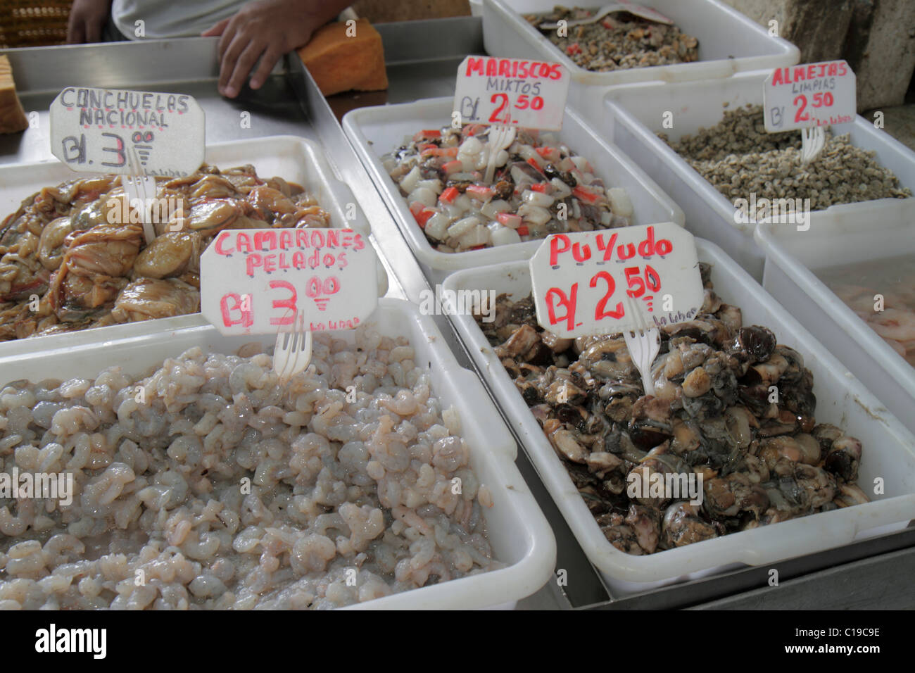 Panama Panama City,Ancon,Mercado de Mariscos,marché,vente,shopping shopper shoppers magasins marché marchés achats vente,vente au détail stor Banque D'Images