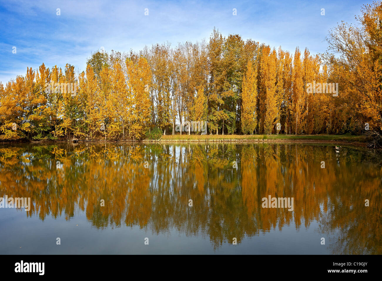 L'automne à LLeida, Espagne. Banque D'Images