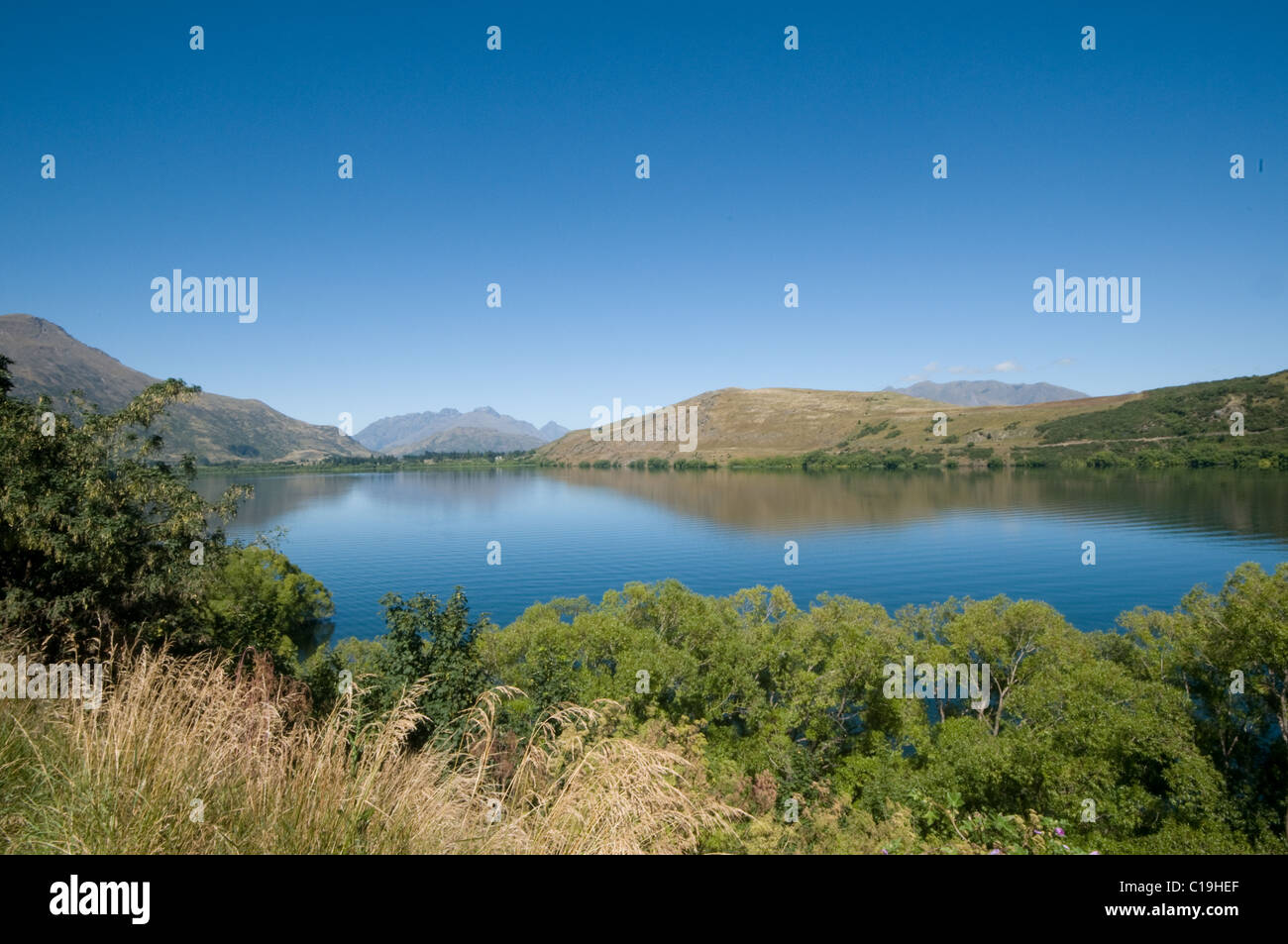 Le bassin du lac Wakatipu, Hayes, Central Otago, Nouvelle-Zélande Banque D'Images