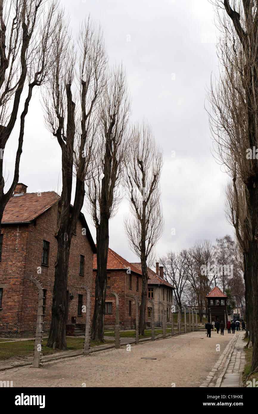 Blocs de la prison du camp de concentration d'Auschwitz-Birkenau, en Pologne. Banque D'Images