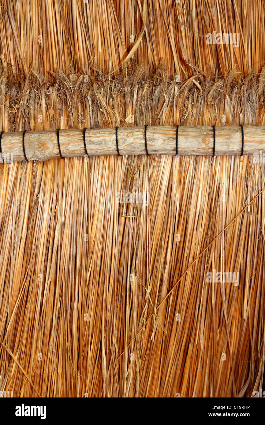 Bois tropical palapa Mexique détail piscine sur le toit de cabine Banque D'Images