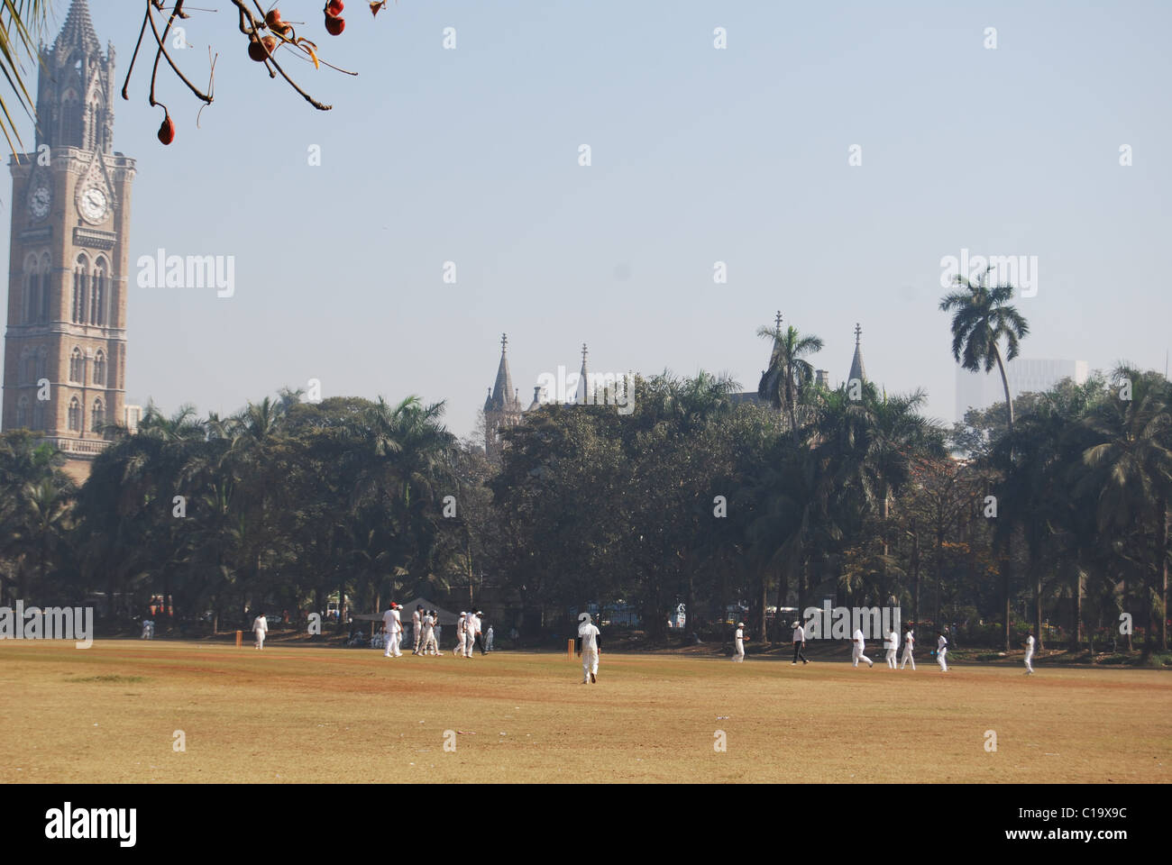 Le terrain de cricket de jeune fille ovale Mumbai Banque D'Images