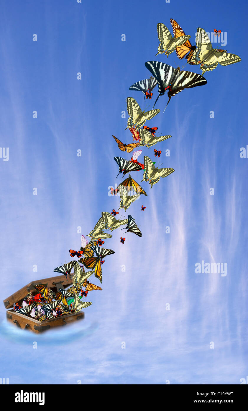 Les papillons voler hors de fort Banque D'Images