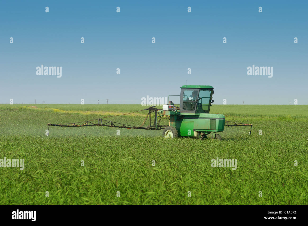Tracteur agricole avec pulvérisateur pulvérisation récolte dans le champ ci-joint. Banque D'Images