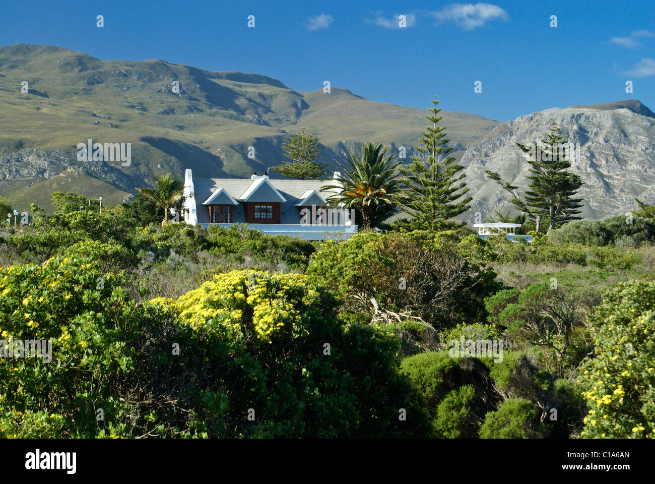 Accueil à Hermanus, Western Cape, Afrique du Sud Banque D'Images