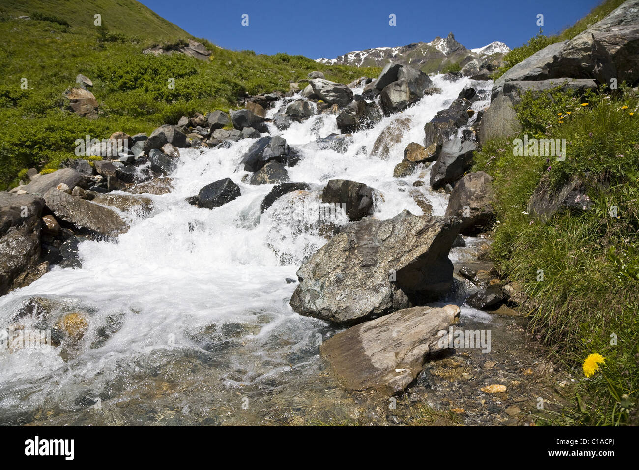 Ruisseau de montagne dans les Alpes Banque D'Images