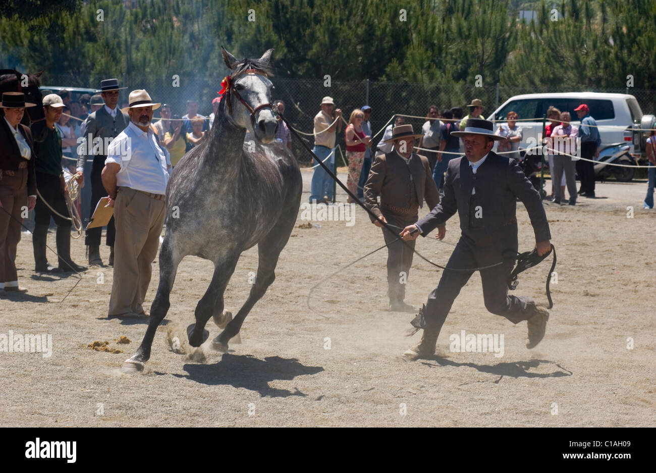 Estepona Feria de San Isidro Cheval Espagnol Championships Banque D'Images