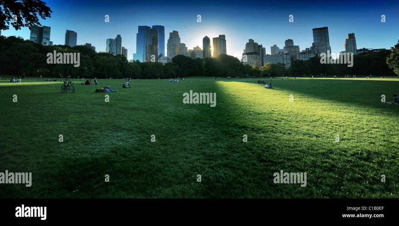 Une prairie dans Central Park, new york city Banque D'Images