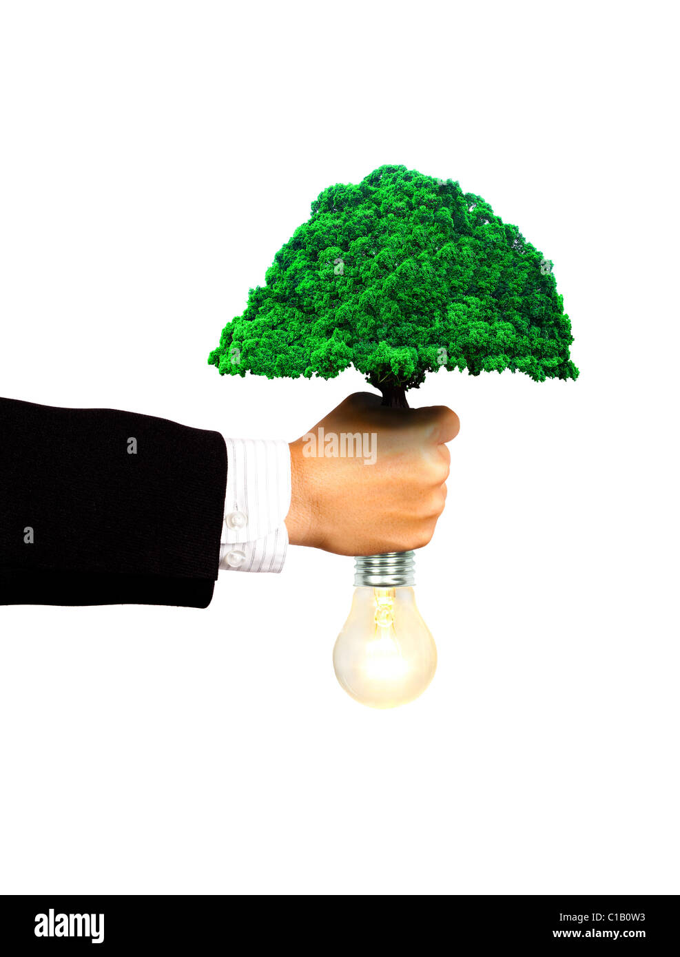 Tenir l'ampoule et homme d'arbres pour faire de l'énergie propre concept Banque D'Images