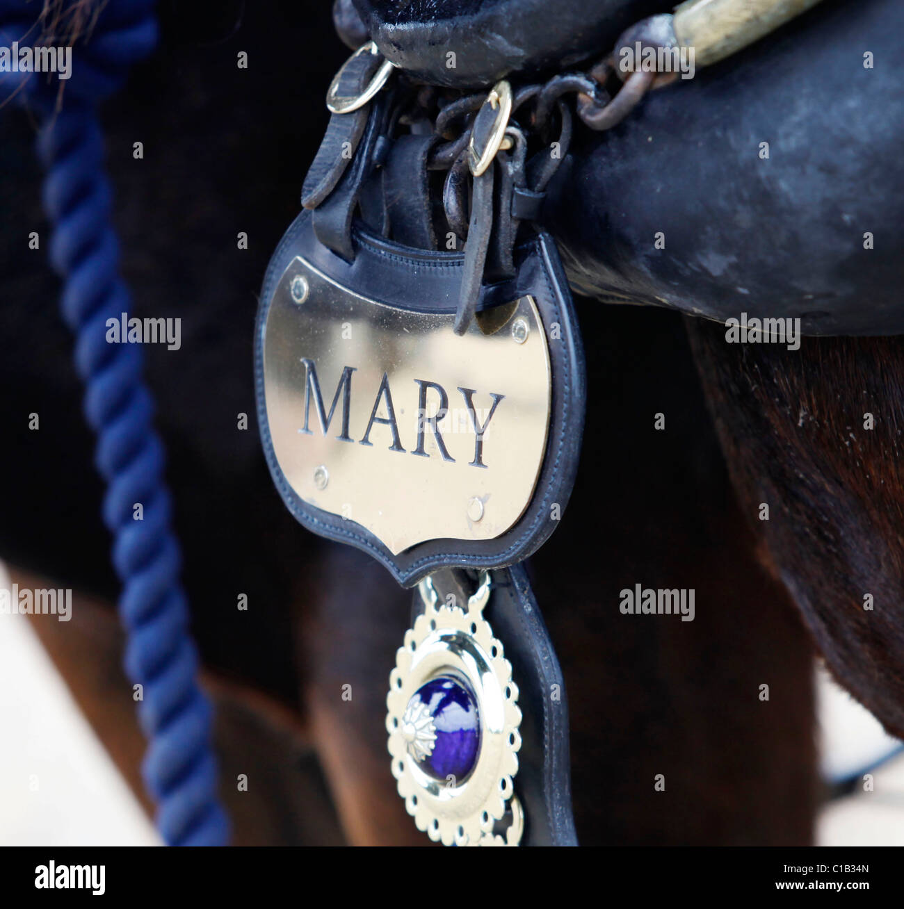 Un homme apprend l'art de labour à l'aide de chevaux. Banque D'Images