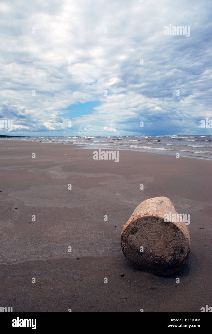Pièce de bois sur la côte de la mer Banque D'Images
