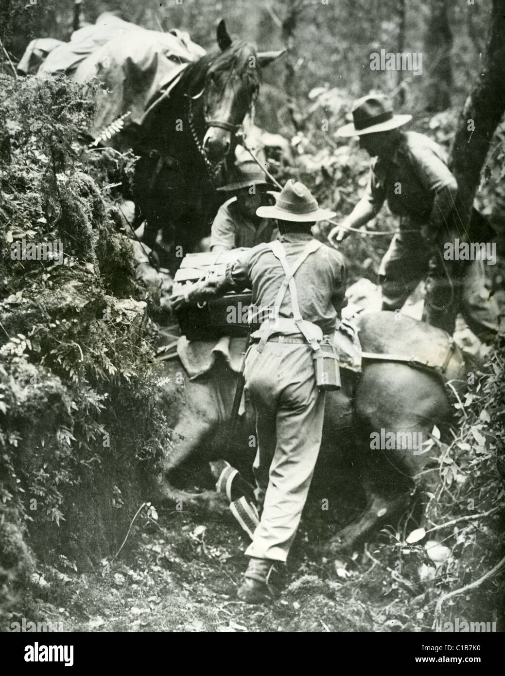 Les troupes australiennes train dans la guerre de jungle en 1942 Banque D'Images