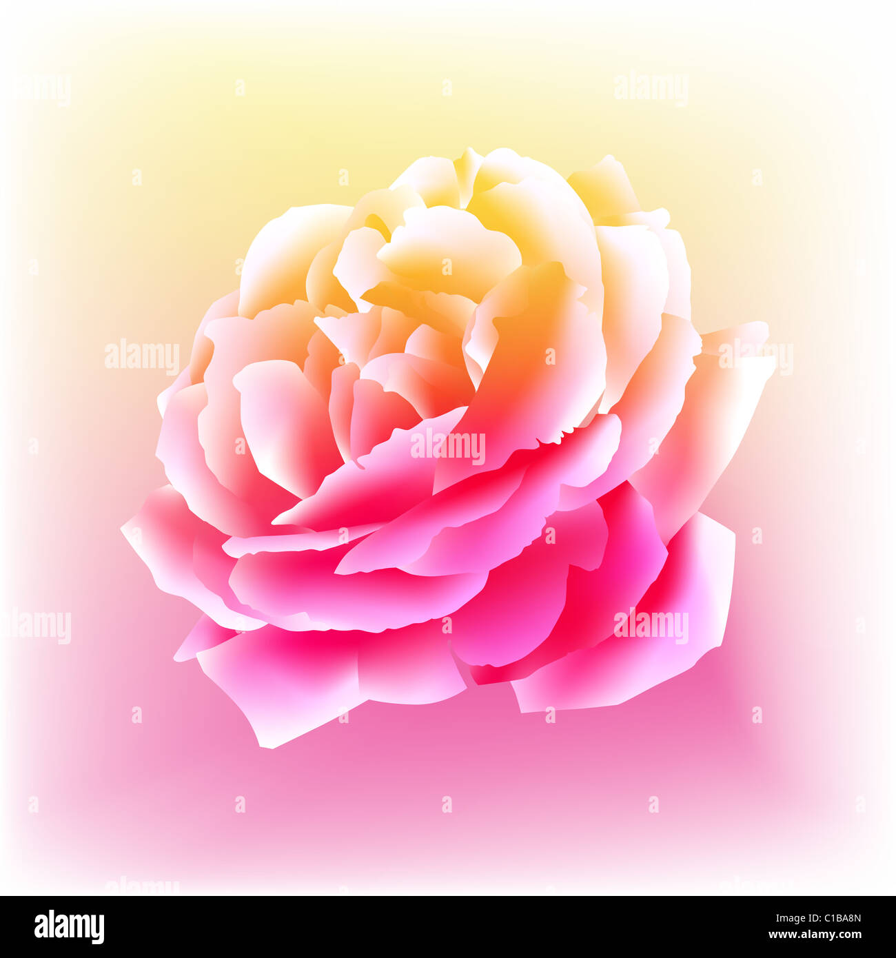 Une image d'une rose s'épanouissent dans un style de peinture à l'aquarelle. Banque D'Images