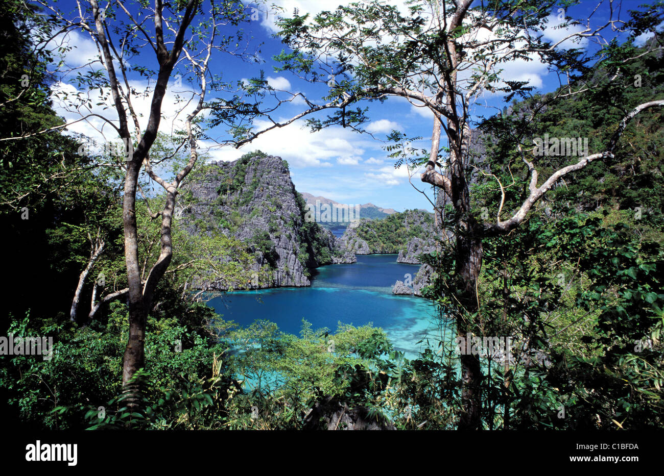 La province de Palawan, aux Philippines, l'Île Coron Banque D'Images