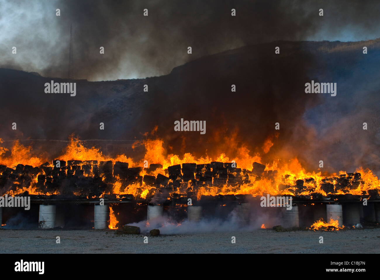 La plus importante saisie de marijuana dans l'histoire du Mexique et son graver a eu lieu à Tijuana, Baja California Sur, 18 octobre 2010. Banque D'Images La plus importante saisie de marijuana dans l'histoire du Mexique et son graver a eu lieu à Tijuana, Baja California Sur, 18 octobre 2010. Banque D'Images