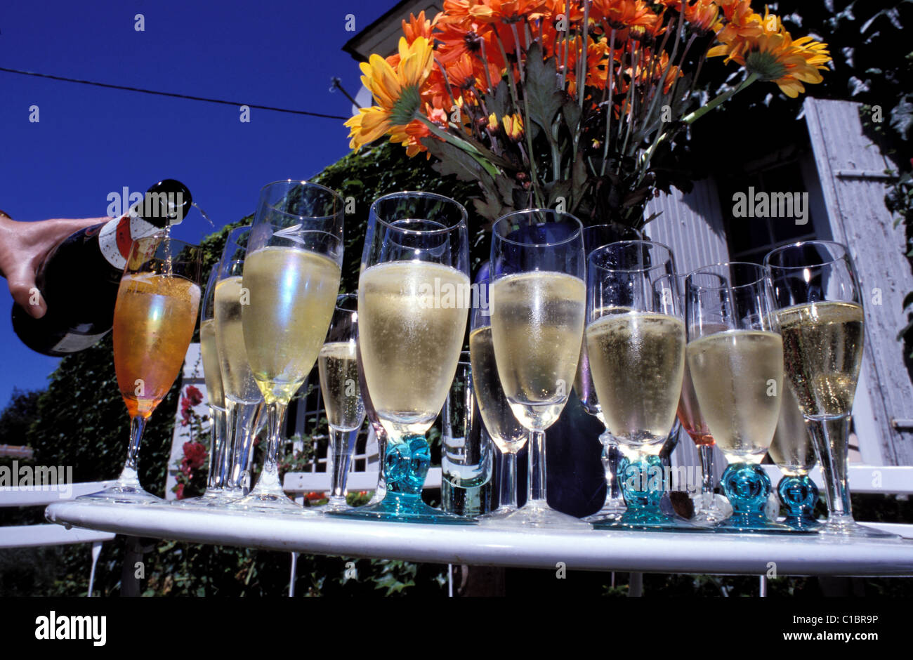 Champagne tasting france Banque de photographies et d’images à haute ...