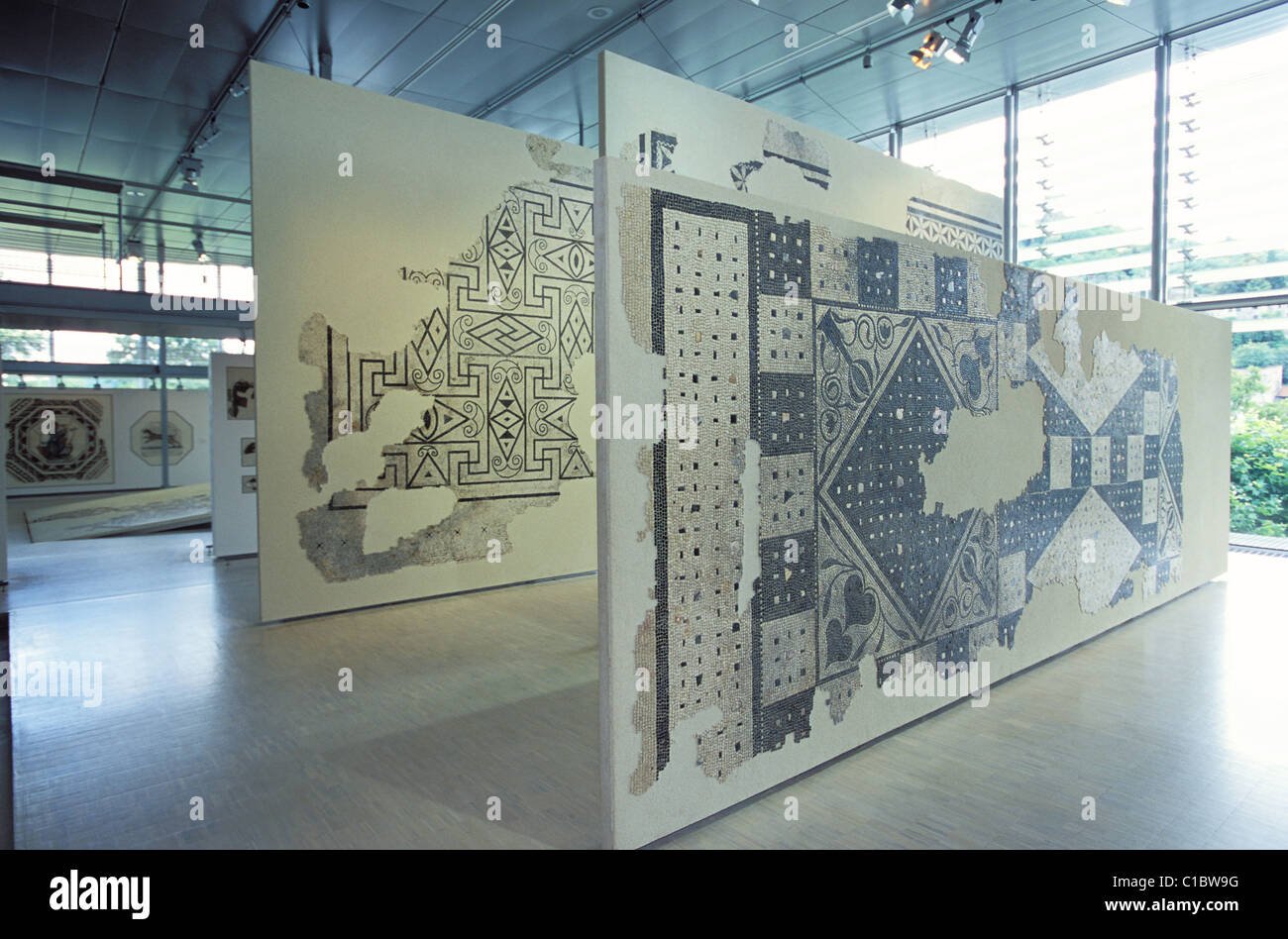 France, Isère, Vienne, musée des antiquités romaines Banque D'Images