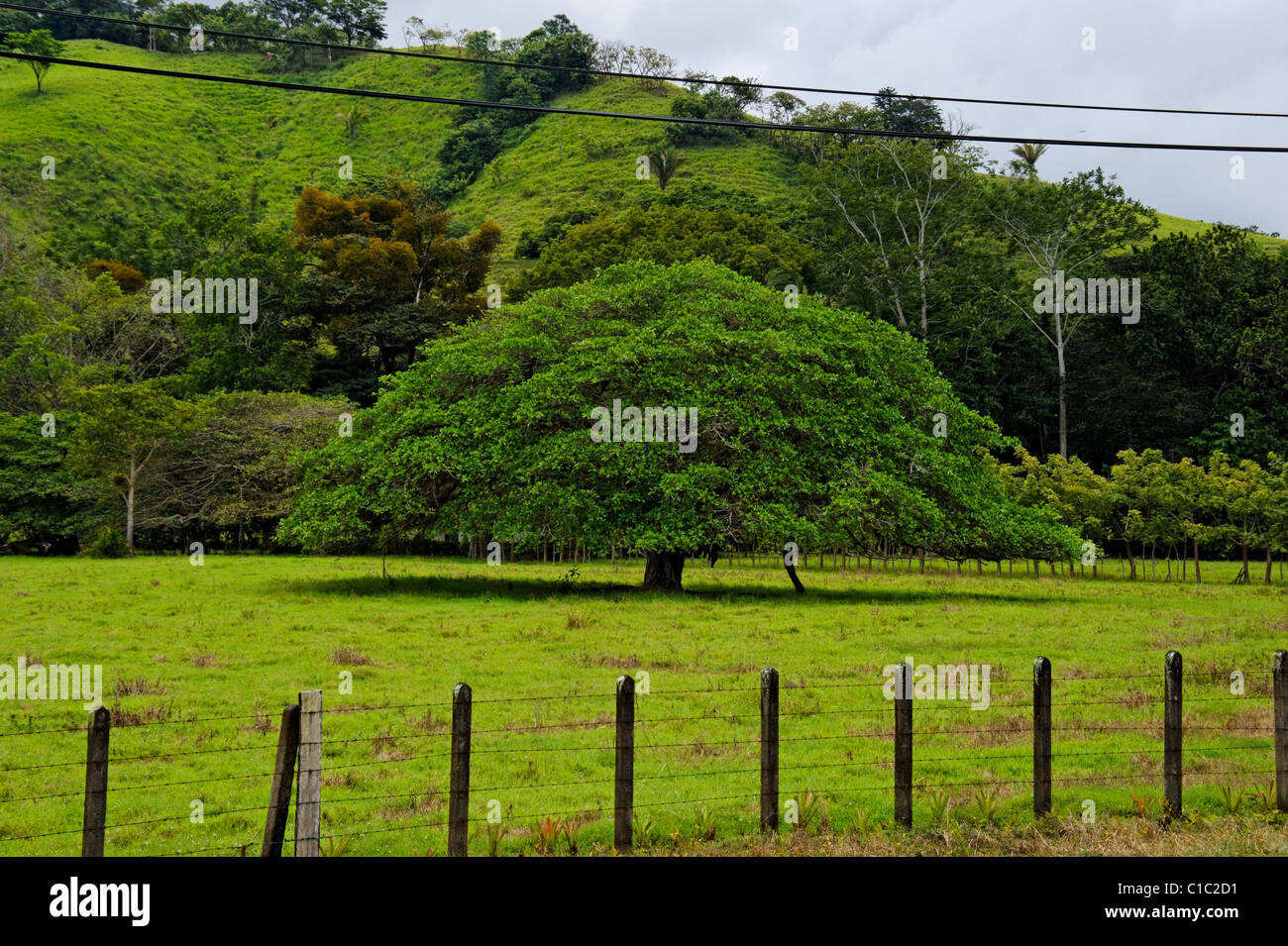 République du Costa Rica, Amérique Centrale Banque D'Images
