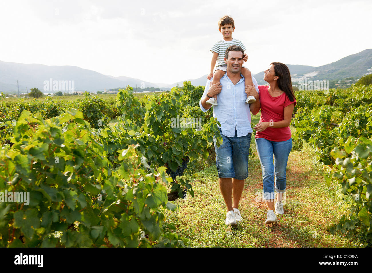 Balades en famille à travers vineyard Banque D'Images