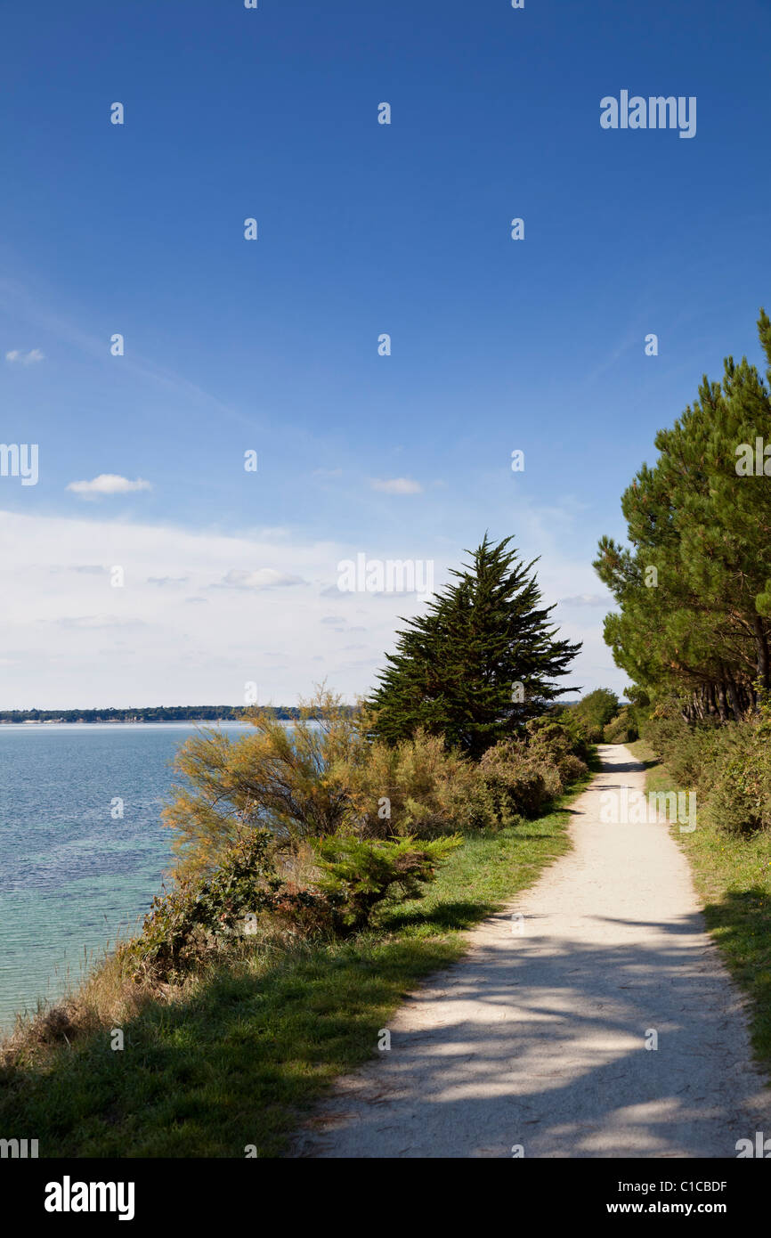 Voie de chemin de la côte en Bretagne, France Europe Banque D'Images