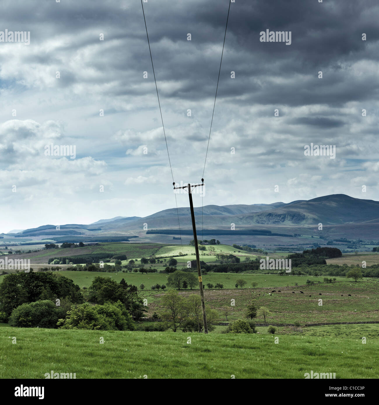 Les lignes d'énergie électrique en milieu rural dans la région du Lake District, Cumbria, Angleterre, Royaume-Uni Banque D'Images