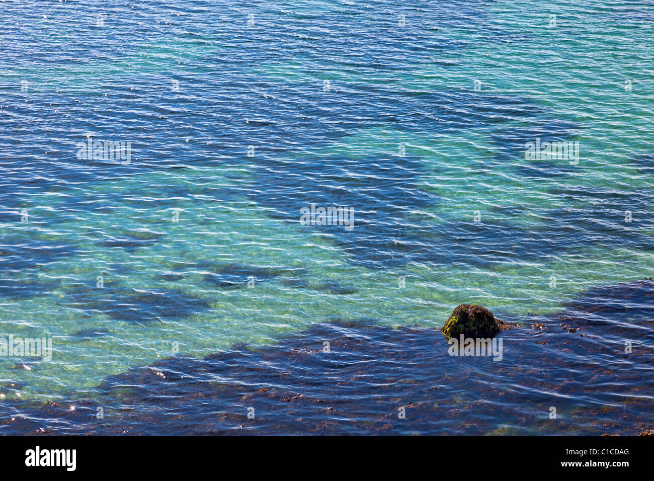Les ondulations de l'eau de mer peu profonde couvrant les algues, France, Europe Banque D'Images