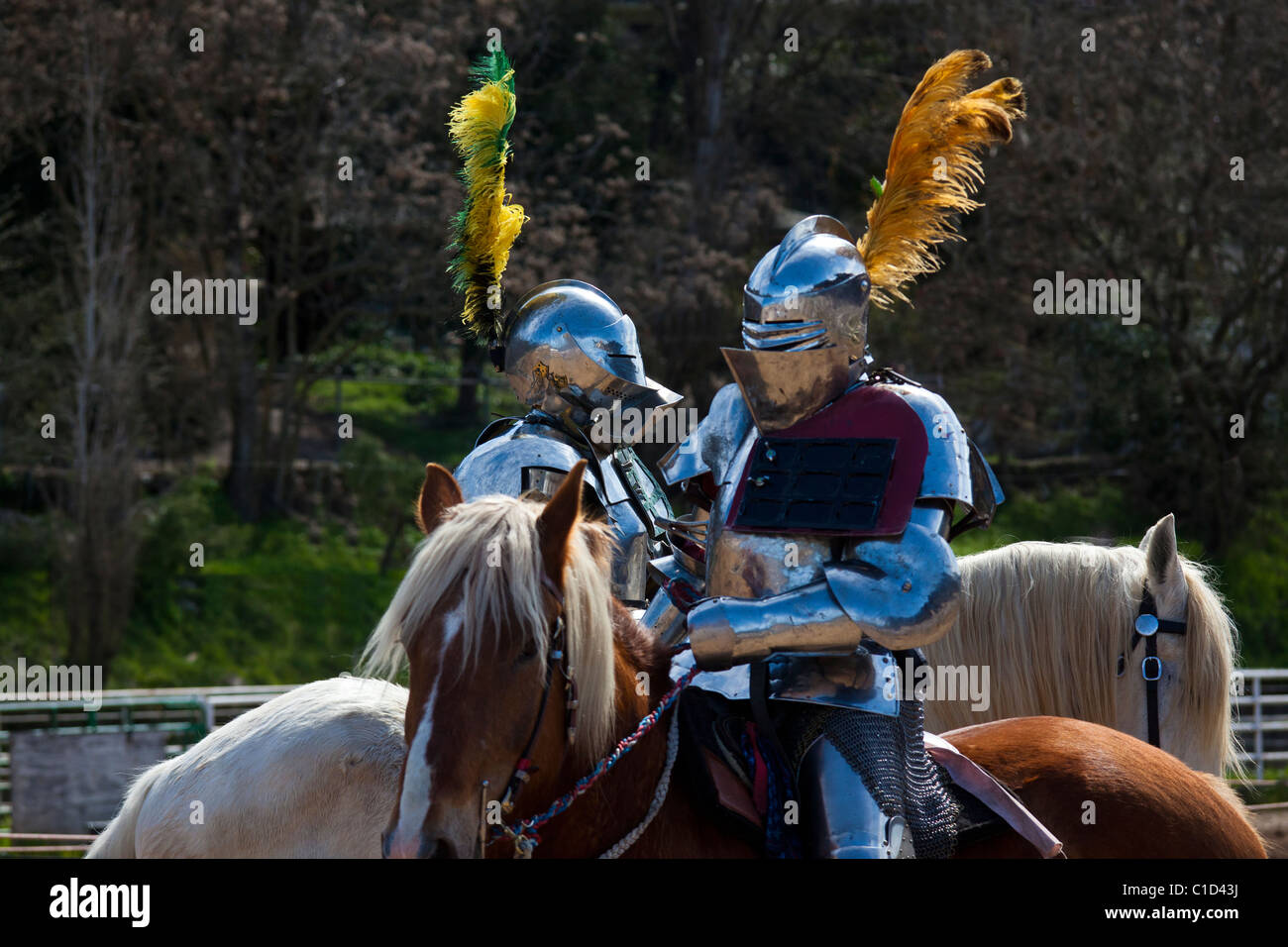 Deux chevaliers lors d'un concours de joutes en attendant de faire la bataille avec les autres à l'État de Sonora en Californie Faire celtique Banque D'Images