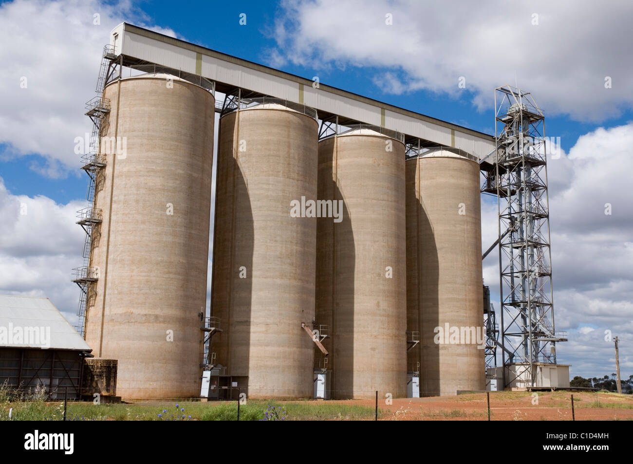 Grands silos à grains le long de la ligne de chemin de fer près de Leeton New South Wales Banque D'Images