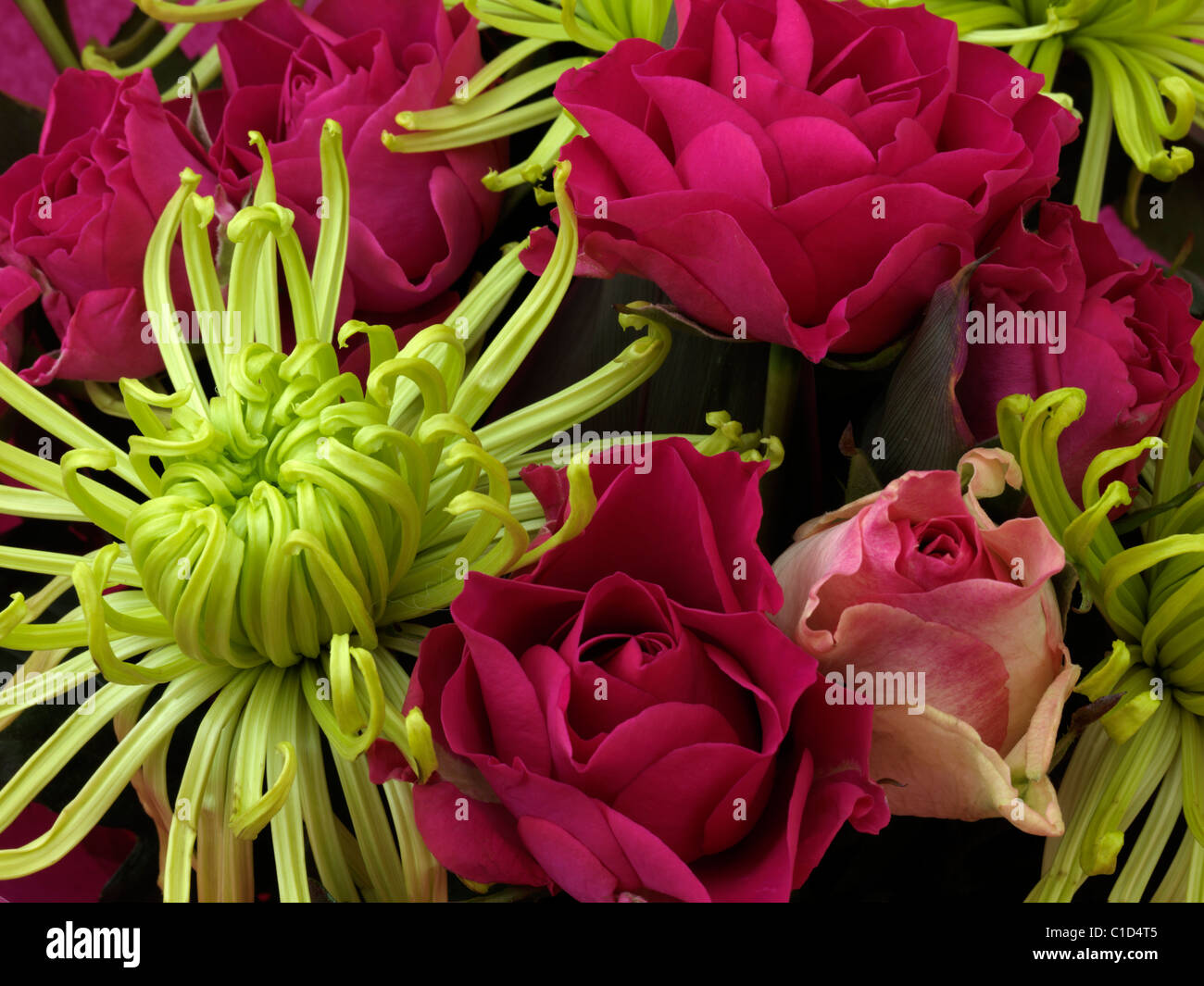 Bouquet de fleurs roses et du chrysanthème Banque D'Images