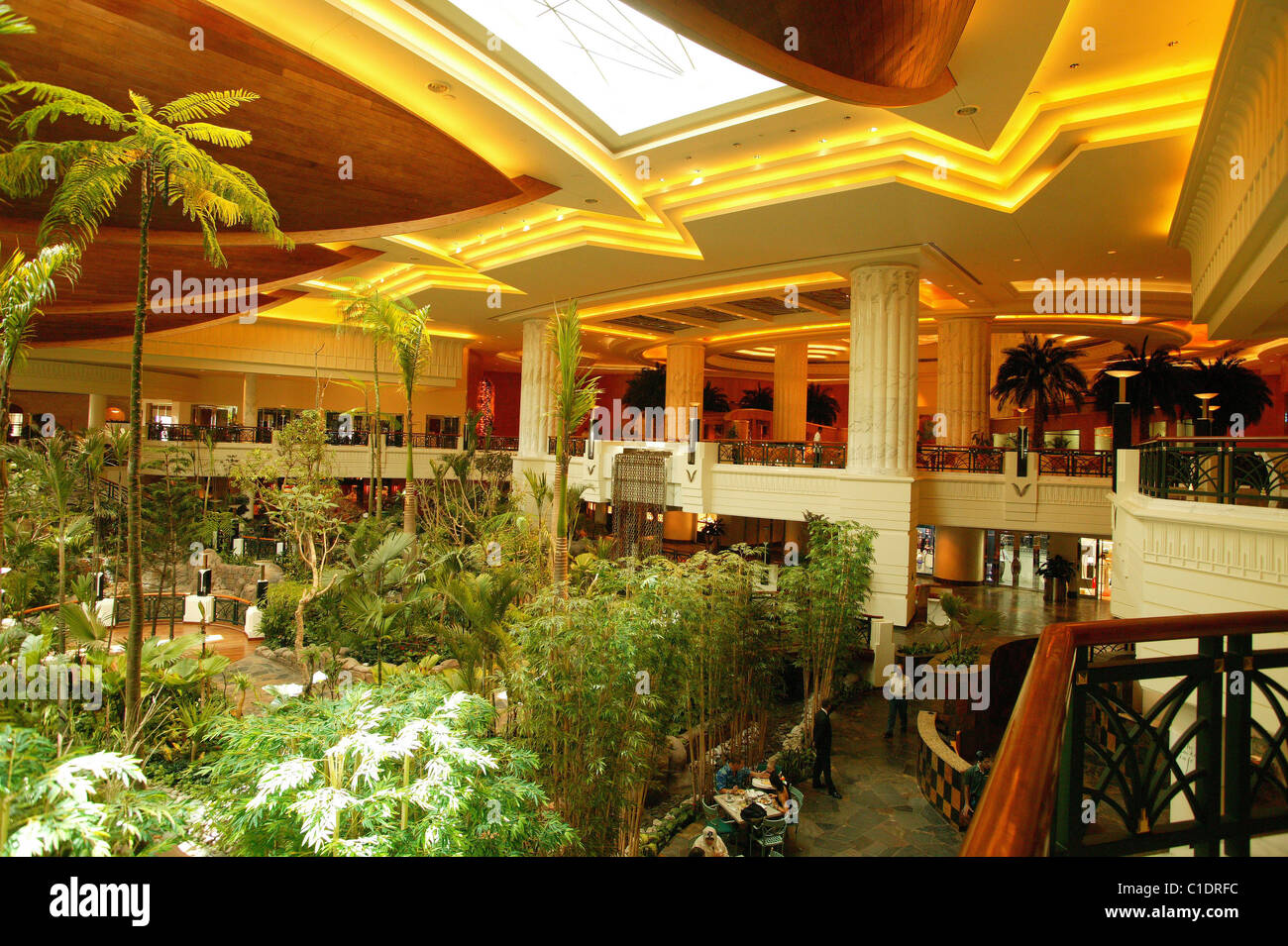 Emirats Arabes Unis, Dubaï, Le Grand Hyatt Hotel 5 étoiles, situé près de Creek Golf et à quelques minutes de l'aéroport Banque D'Images