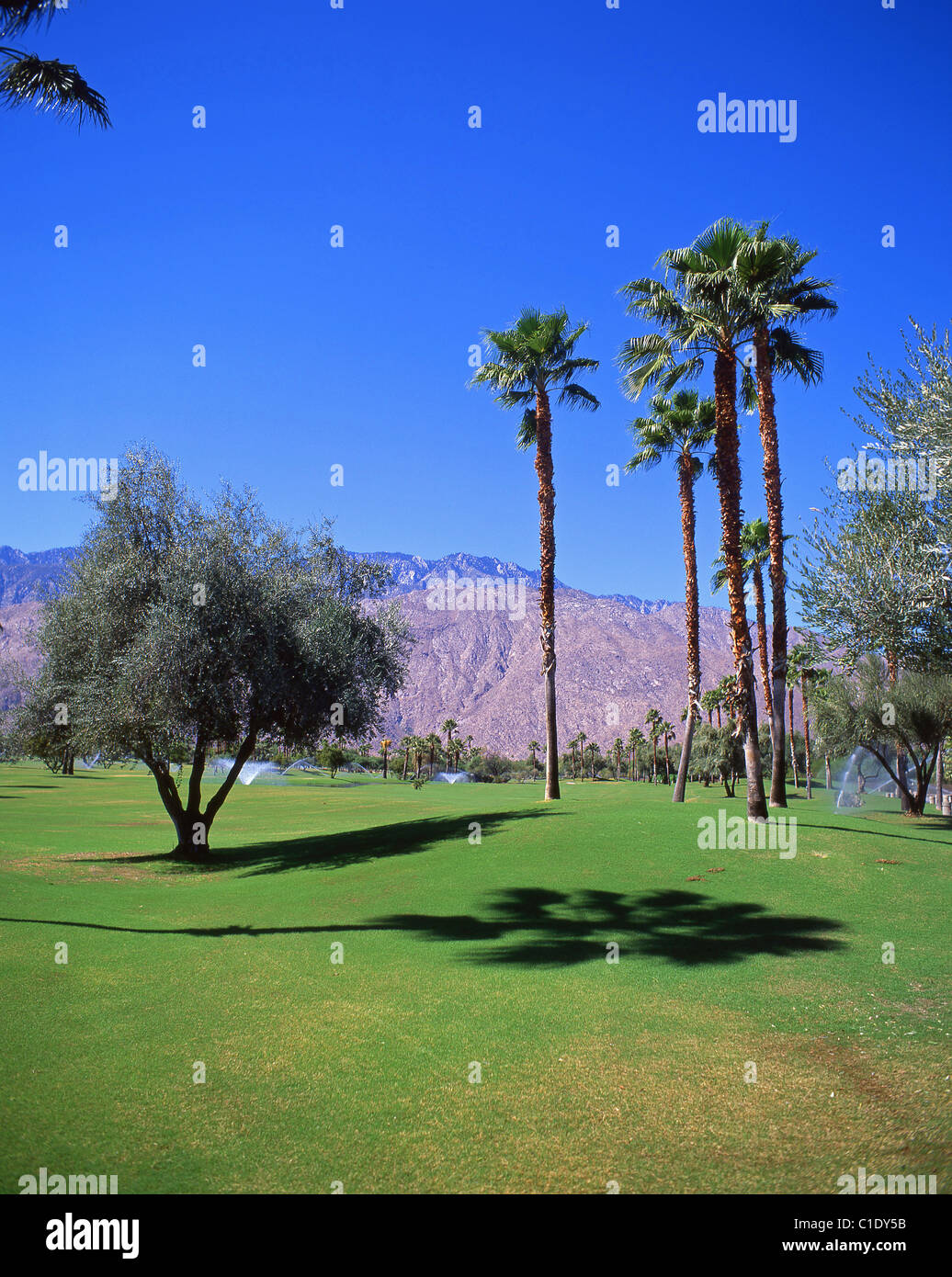 Le mesquite Golf & Country Club, Palm Springs, Californie, États-Unis d'Amérique Banque D'Images