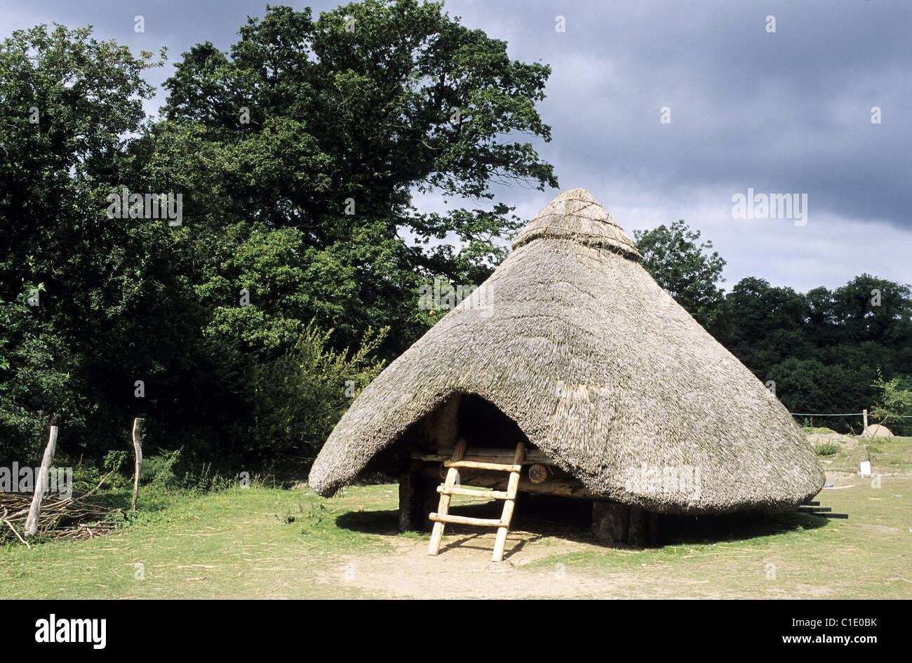 Royaume-uni, Pays de Galles, Castell Henllys (Celtic village) Banque D'Images