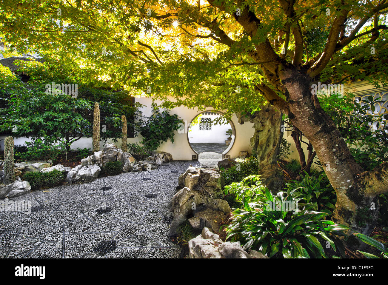 Cour aménagée en jardin chinois avec chemin de pierre Banque D'Images